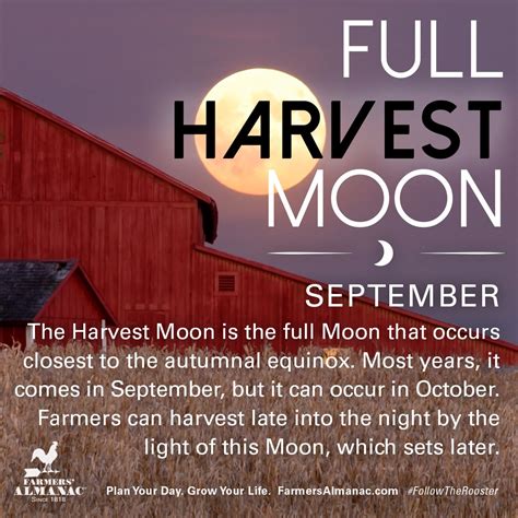 Harvest moon magically mekod